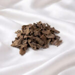 قواقع العود الاندنوسي (10g)