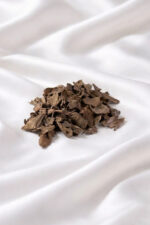 قواقع العود الاندنوسي (10g)