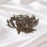 ماليزي سيوفي تايقر (10g)