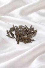 ماليزي سيوفي تايقر (10g)